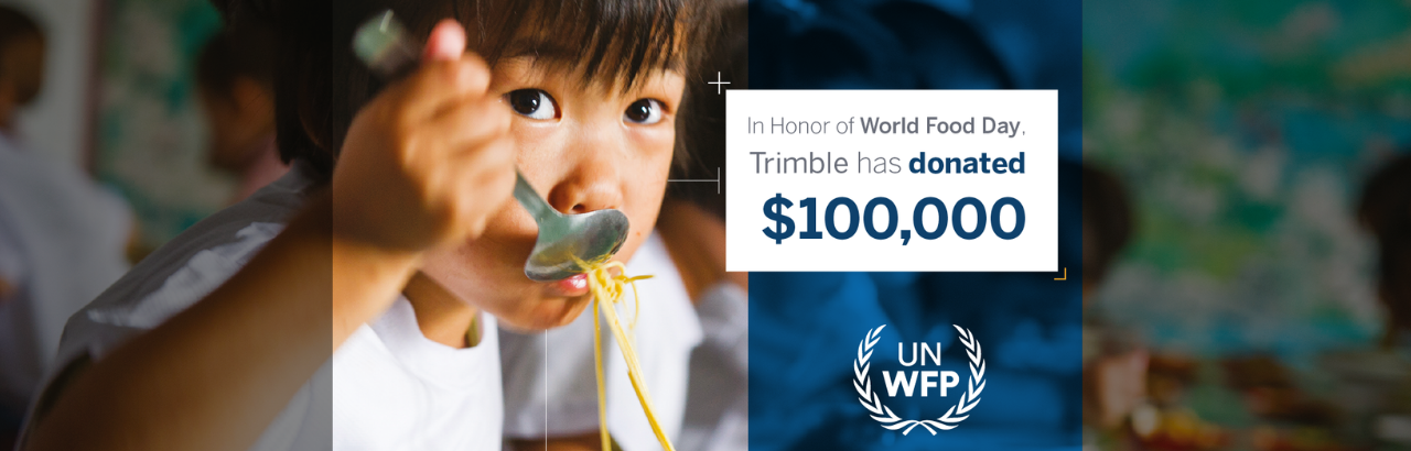 A child of Asian descent eats pasta.