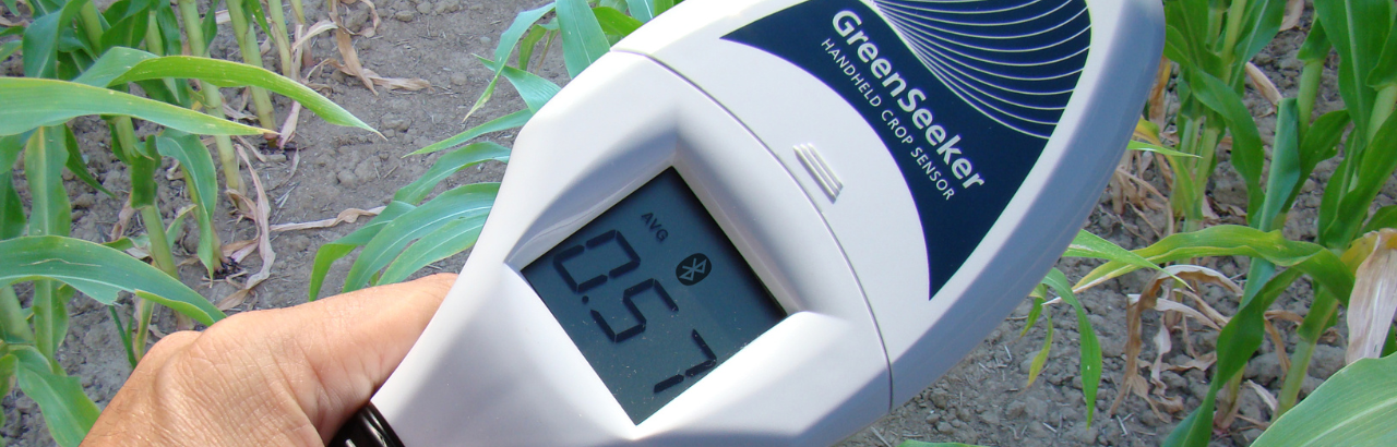 A farmer uses the Trimble GreeSeeker Handheld crop sensor to measure crop nutrition in corn.