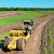 A farmer or earthworks contractor conducts land forming to better manage water resources.