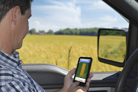 Mejor registro de campo