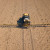 A farmer in Australia sprays fertiliser prior to the crop emerging.