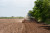 Traktor der Marke John Deere beim Pflügen eines leeren Feldes