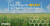 Image of a corn field with text reading "Top 5 Ways to INVEST in Your Farm's Future"