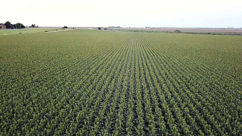 agriculture-centerpoint-rtx-video-thumbnail