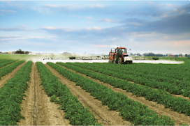 Understanding VRA and VRT