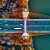 An aerial image of vehicles on a highway crossing a bridge.