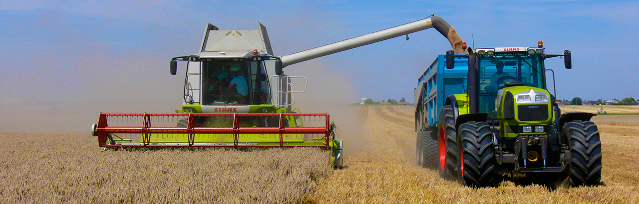 tractor harvesting wheat