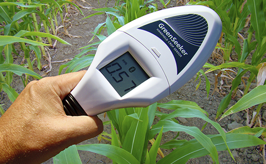 A in-field photograph of a farmer using Trimble's GreenSeeker handheld crop sensor to check nutrient levels in corn.