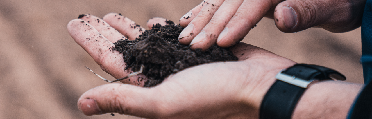 Hands inspecting dark soil