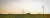 Ein Feld mit Sojabohnen bei Sonnenaufgang mit Windkraftanlagen im Hintergrund.