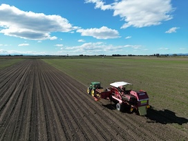 Integrierte IonoGuard™-Technologie