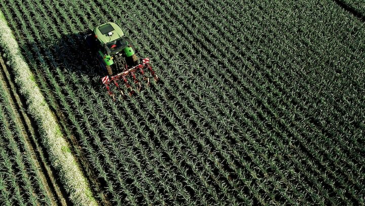 Correction Services – Image – xFill Premium