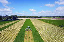 Season-to-season reliability