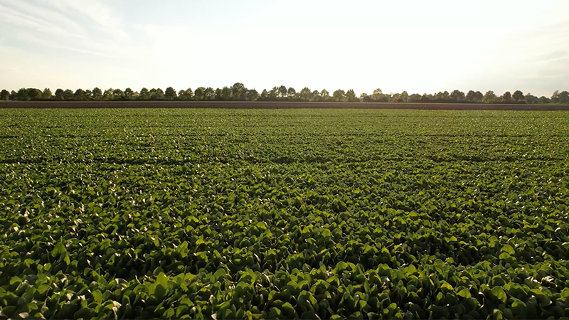 agriculture-products-trimbleagsoftware-tas-testimonial-video-image