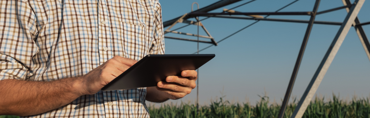 A farmer works on his tablet while standing near a field of corn.
