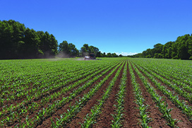 Accuracy in everything