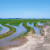 A photograph of a field with levees installed to help with water management.