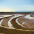 Una fotografía que muestra la distribución de agua efectiva mediante caballones para el cultivo de arroz.