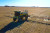 WeedSeeker 2® spraying an open field