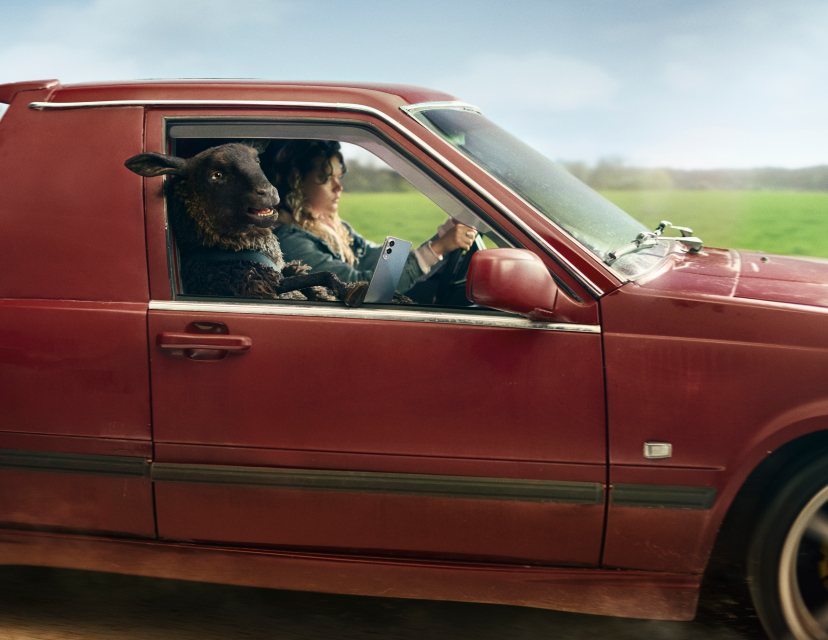 Fåret Frank åker röd EPA