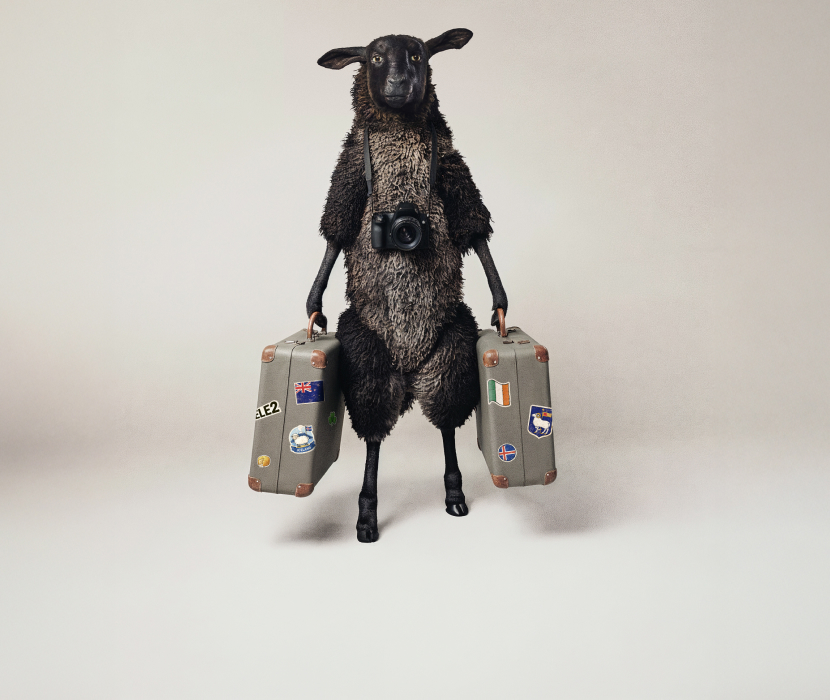 Ett svart får står upprätt med en kamera runt halsen och håller två resväskor med flaggdekaler mot en ljusgrå bakgrund.