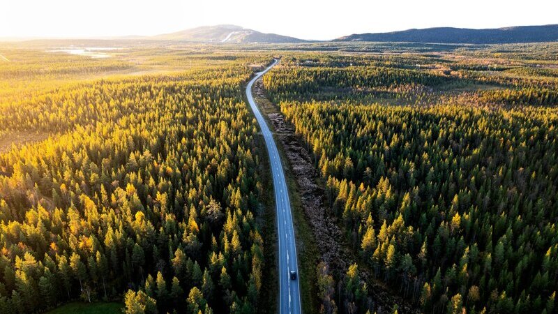 Flygfoto över granskog med en väg och fjäll i bakgrunden. 