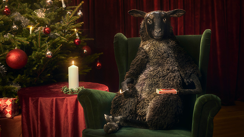 Fåret Frank sitter i en fåtölj och har precis tänt ett ljus. Julgran i bakgrunden. 