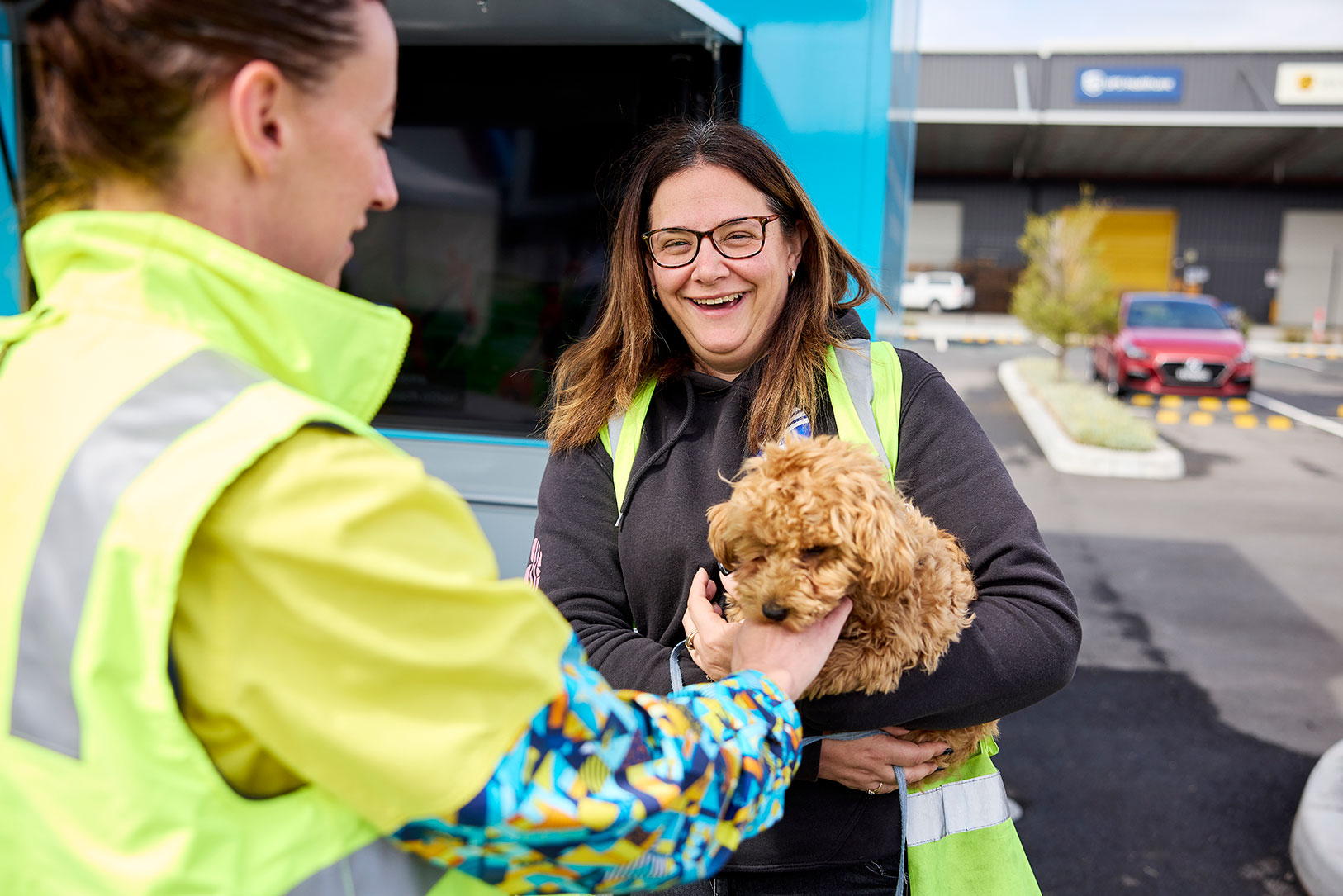 Image:[Case study] Healthy Heads 1