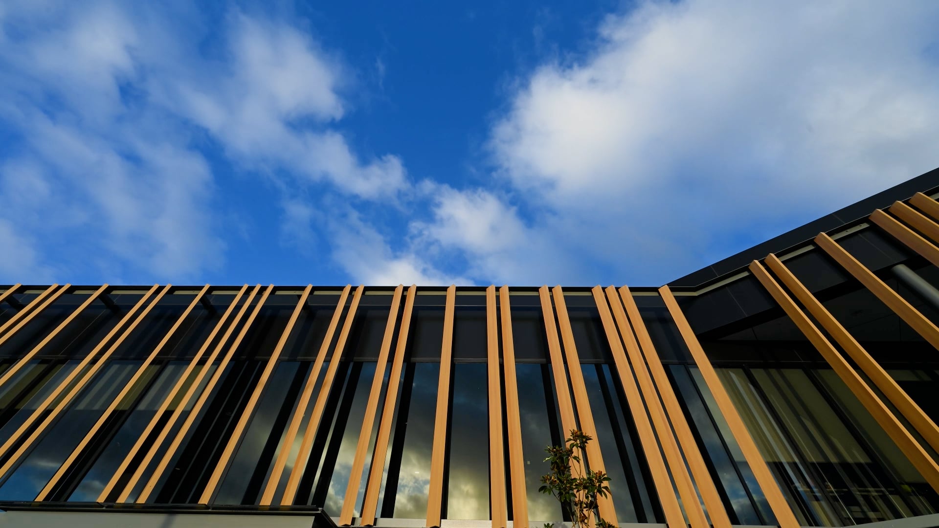 Greenlink Hero Preview