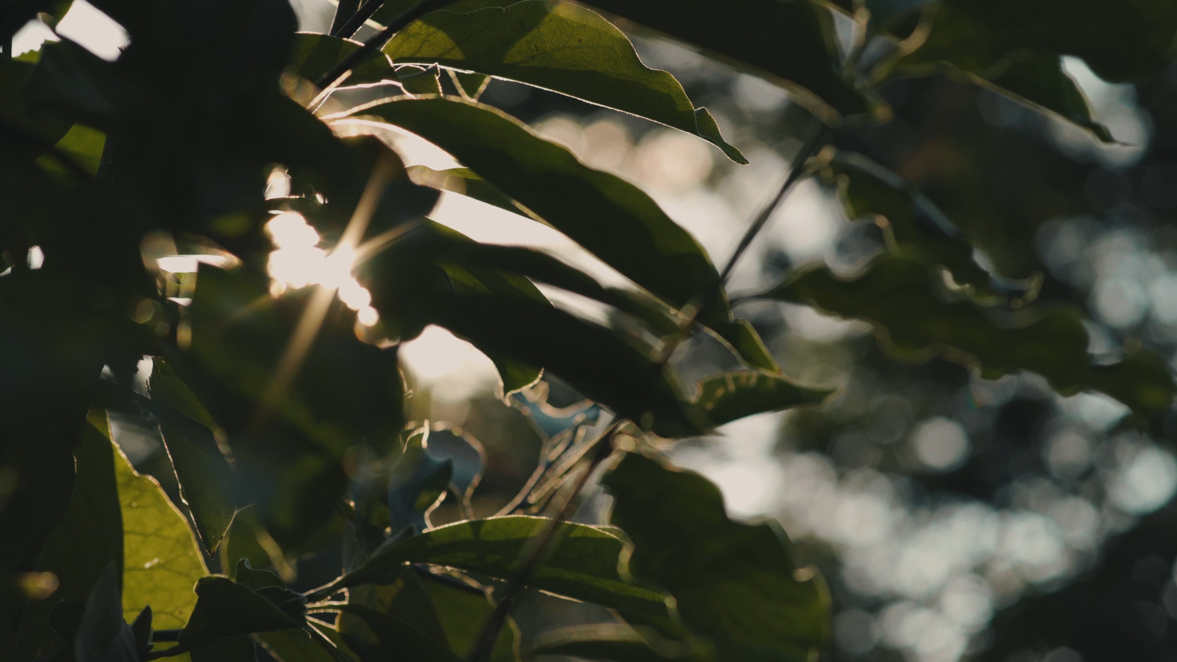 Westlink Industry Park - Hero - Capture