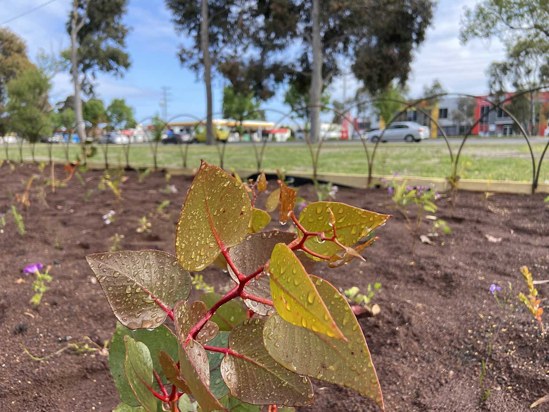 Image: Laverton-North-2