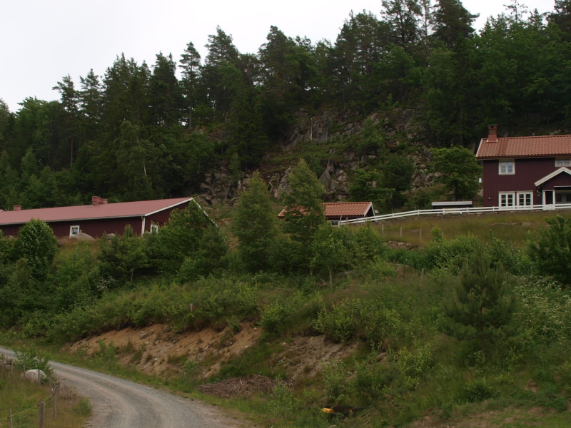 Grisehuset til Britt Elisabeth og Øyvind Fossdal, hvor der produseres over 3000 grisunger hvert år.