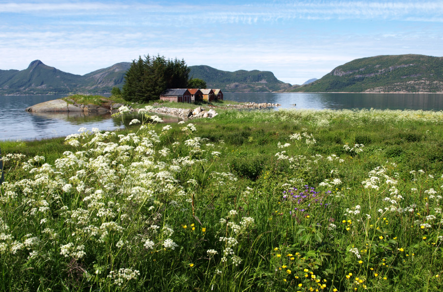 Fine inntrykk fra en flott
landsdel, Helgelandskysten.