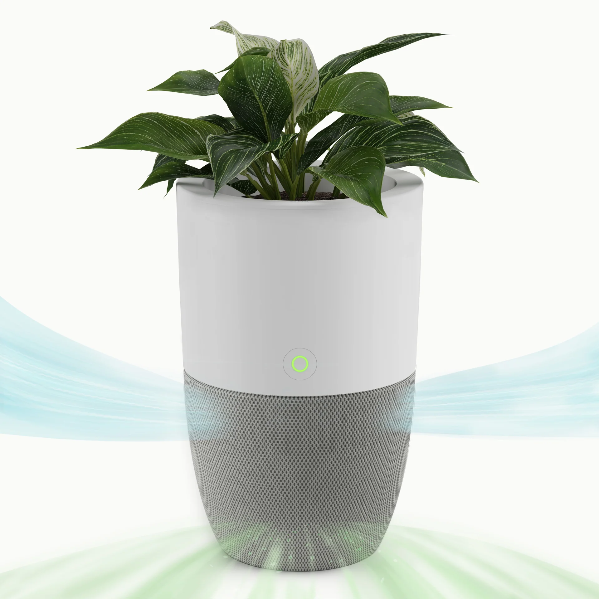 bloom air purifier