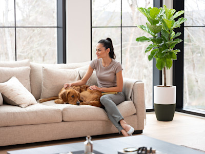 A breath of fresh air for you and your pets.