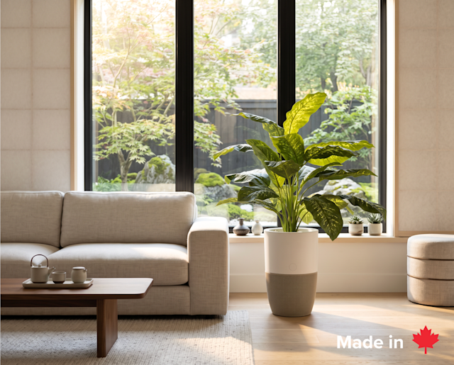 Bloom™ is back: our award-winning air purifier is now made in Canada