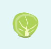 Brussels sprout icon
