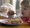 child-friendly-food