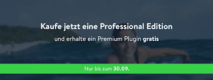 Sommer-Angebot: Professional Edition kaufen und Premium Plugin gratis erhalten