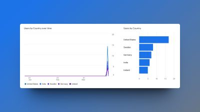 audience insights