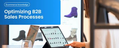 Optimizing B2B sales processes with ecommerce platforms