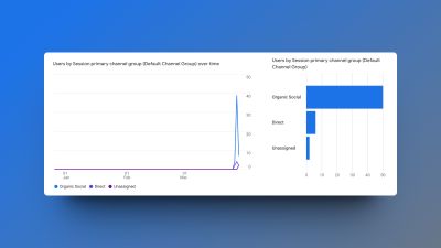 Performance of paid marketing efforts