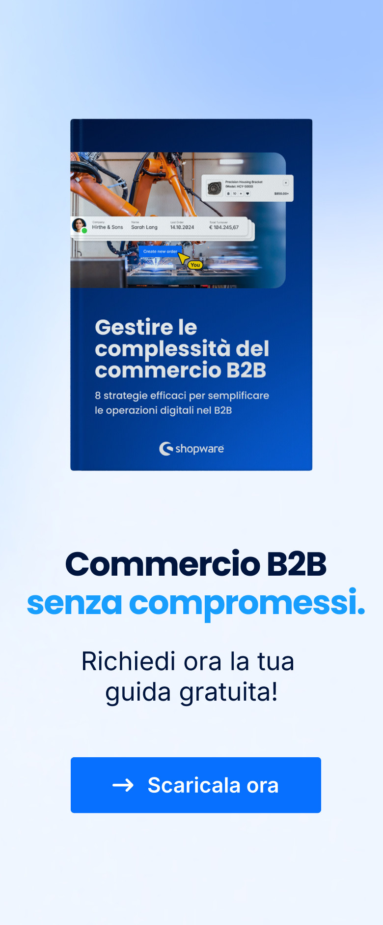 2025-11 | B2B complexity guide // Blog Banner | IT