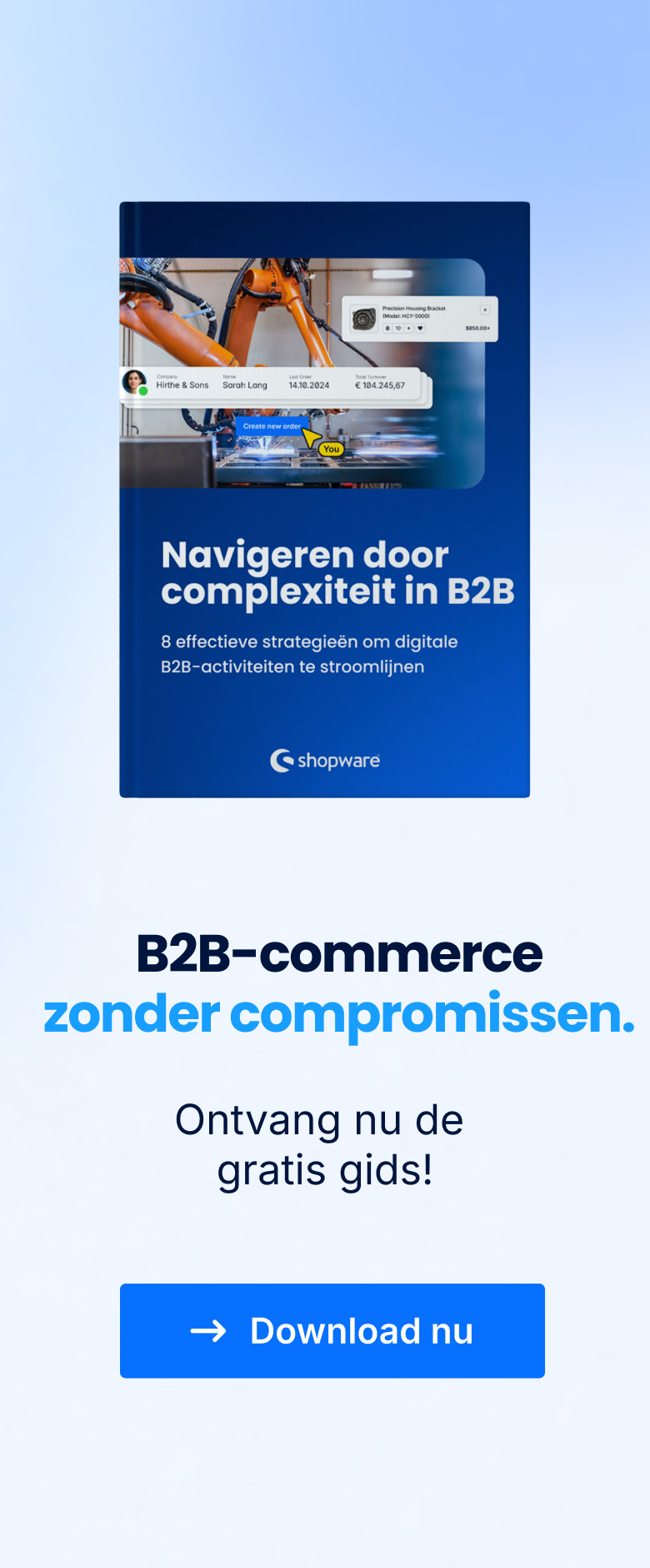 2025-11 | B2B complexity guide // Blog Banner | NL
