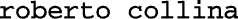 Logo of Roberto Collina