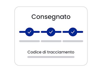 Tre spunte in fila sotto la scritta “Consegnato”, con “Numero di tracciamento” sotto.