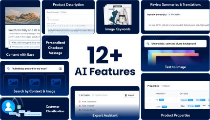 A graphic featuring the text "12+ AI Features" at the center, surrounded by various AI-related functionalities such as "Product Description," "Image Keywords," "Review Summaries & Translations," "Text to Image," "Search by Context & Image," "Customer Classification," "Export Assistant," "Product Properties," "Personalized Checkout Message," and "Content with Ease."