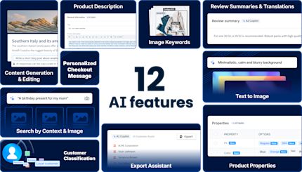 A graphic featuring the text "12 AI Features" at the center, surrounded by various AI-related functionalities such as "Product Description," "Image Keywords," "Review Summaries & Translations," "Text to Image," "Search by Context & Image," "Customer Classification," "Export Assistant," "Product Properties," "Personalized Checkout Message," and "Content Generation & Editing."