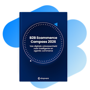 B2B Ecommerce Cover EN + Blue shape