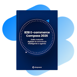 B2B Ecommerce Cover EN + Blue shape